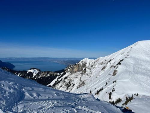 IMG-20250126-WA0004