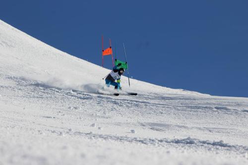 IMG 8709